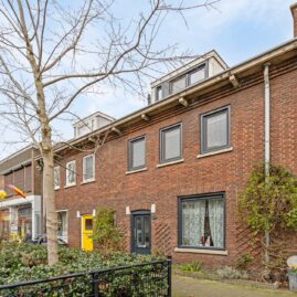 Cypresstraat te Den Bosch